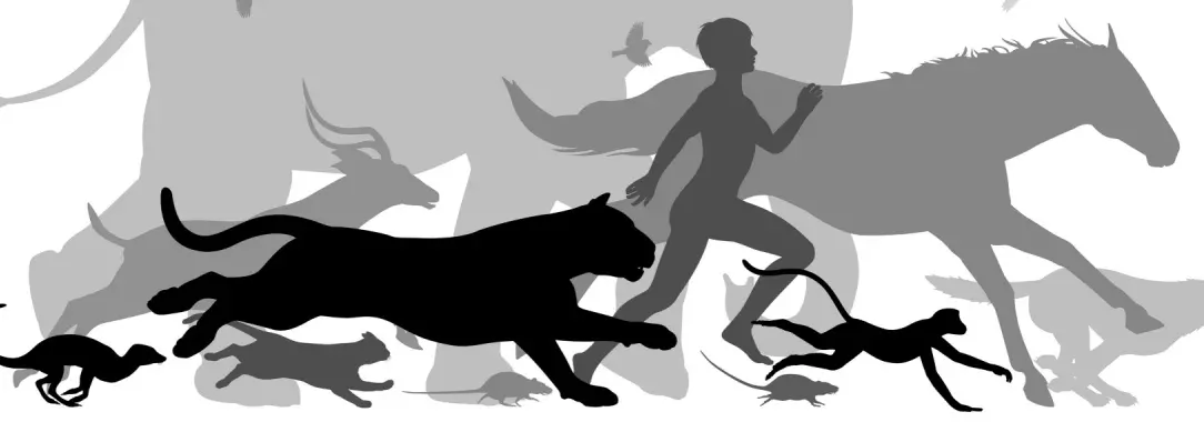 A vector illustration of the silhouettes of an elephant and other animals running alongside a human being, isolated on white