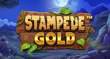 Stampede Gold